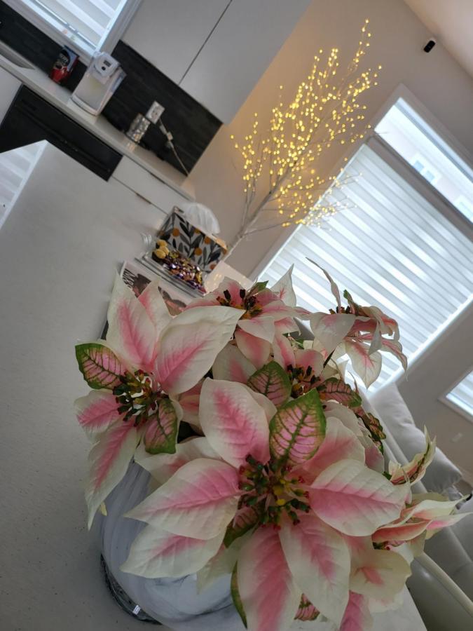 Bliss-Home Ottawa Bagian luar foto